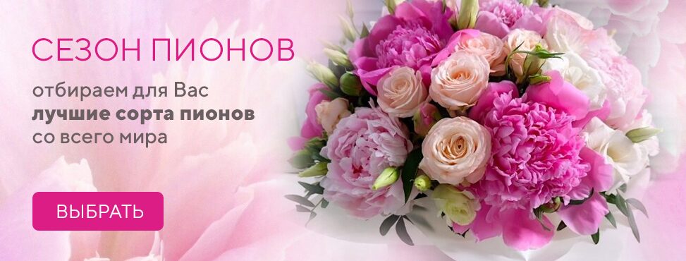 Доставка цветов в Москве