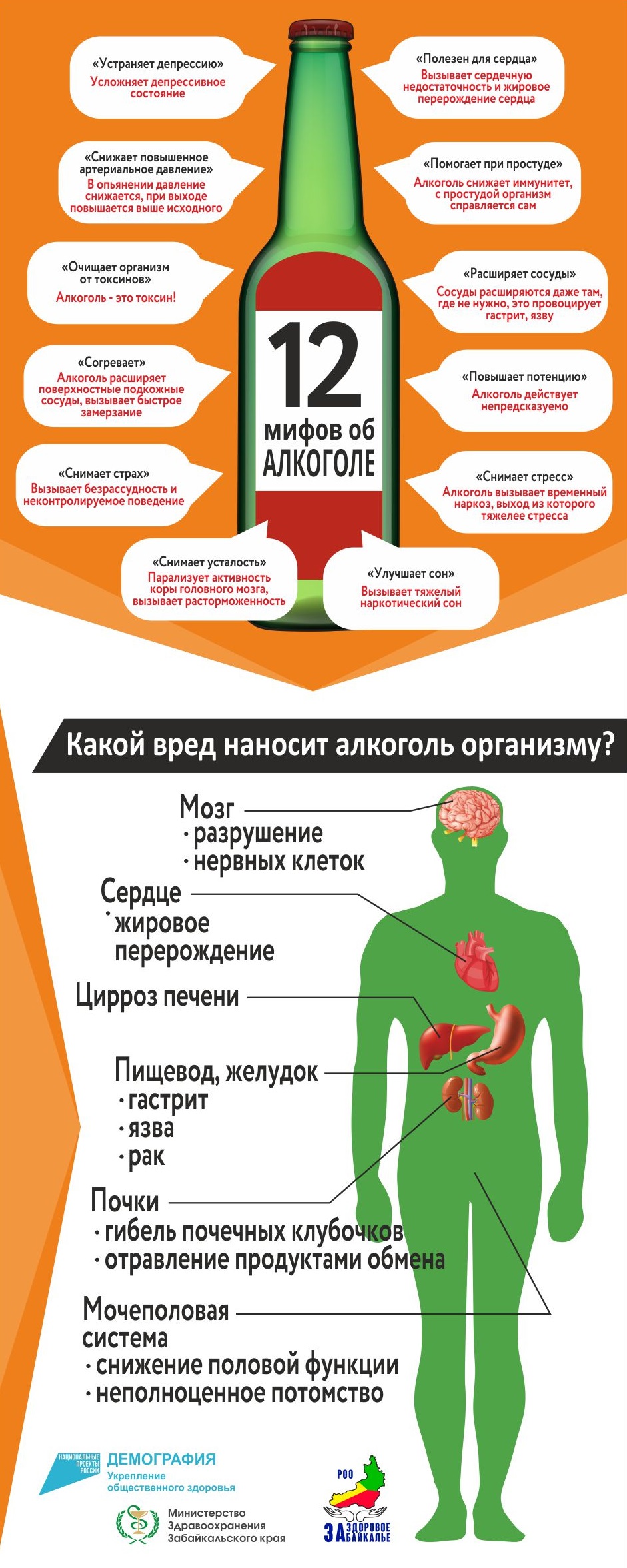 Что такое кодирование от алкоголизма?