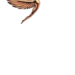 Бизнес клуб России в Дубае: новые возможности для успешных предпринимателей