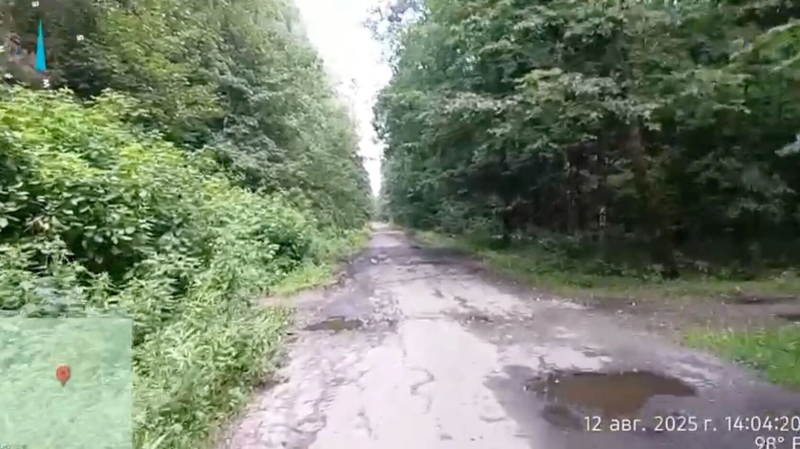 От Химкинского леса к Лосиному острову. В нацпарке строят дорогу под охраной полиции