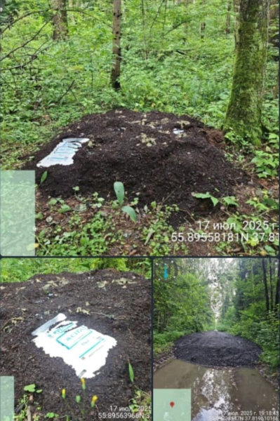 От Химкинского леса к Лосиному острову. В нацпарке строят дорогу под охраной полиции
