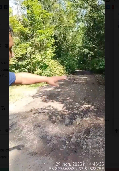 От Химкинского леса к Лосиному острову. В нацпарке строят дорогу под охраной полиции