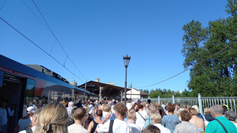 Петергоф за один день: как добраться, не переплатить и сберечь нервы