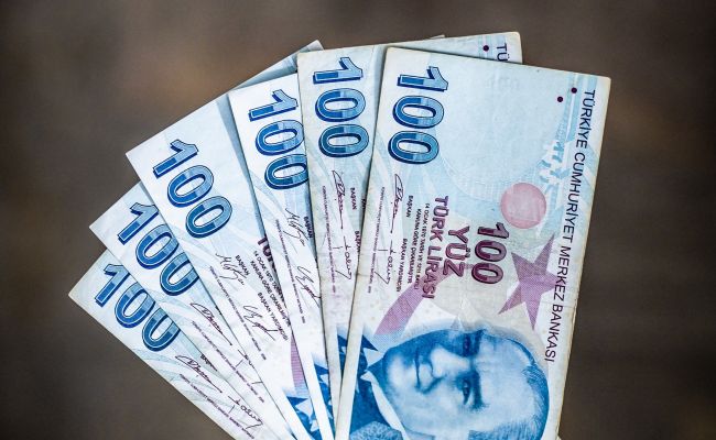 Последний курс турецкой лиры к доллару, евро и рублю по состоянию на 15 августа
