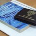 Россиян предупредили о наказании за сбор некоторых редких грибов