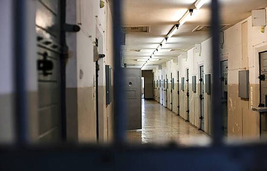 Суд на Камчатке вынес приговор за одобрение Холокоста в интернете