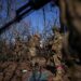 Осужденного в России наемника уличили в вербовке латиноамериканцев в ВСУ
