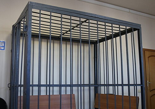 Арестованный за взятку генерал написал письмо Путину