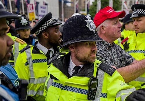 Полиция Лондона задержала сотни людей на митинге в поддержку Palestine Action