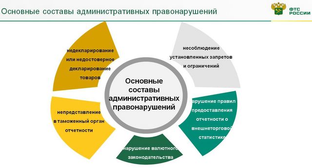 Что такое таможенные правонарушения и их виды