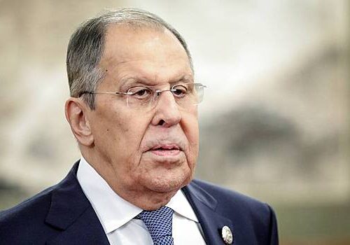 Лавров описал позицию Франции фразой «петух прокукарекал»