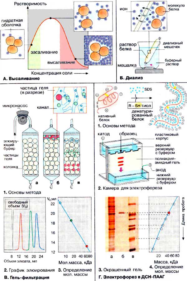 Принцип работы анализатора протеина