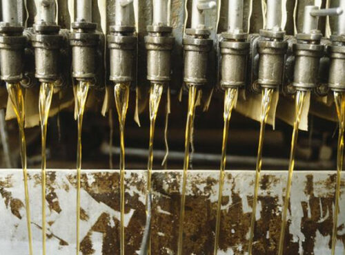 Озвучена главная опасность пальмового масла