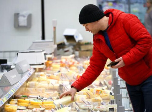 Ученый рассказал, какой плесневелый сыр можно есть без вреда для здоровья