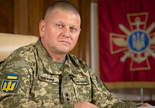 Стало известно, кто может помочь Залужному стать президентом Украины