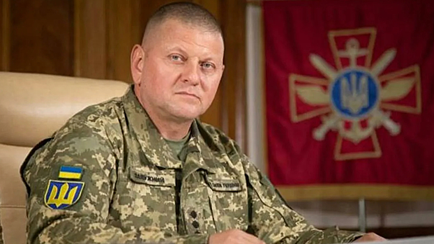 Стало известно, кто может помочь Залужному стать президентом Украины