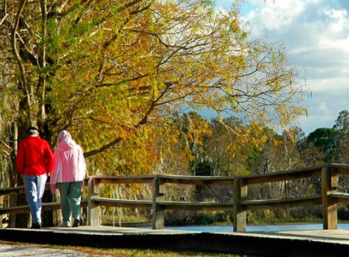 Как не дать раку лёгких шанса: врач назвала главные правила защиты