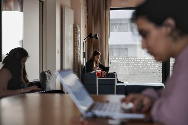 Работники по всему миру лишились должностей из-за ИИ. Почему их позвали обратно?