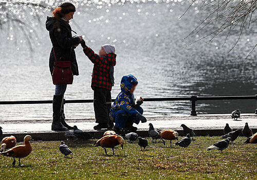 Какие трудовые льготы положены матерям