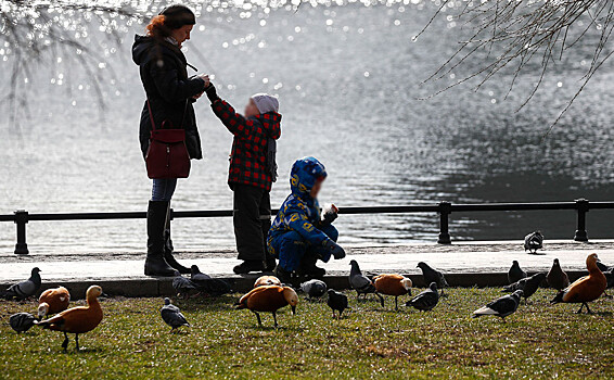 Какие трудовые льготы положены матерям