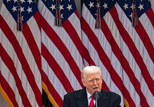 Трамп назвал животным стрелявшего в нацгвардейцев у Белого дома Трамп назвал животным стрелявшего в нацгвардейцев у Белого дома