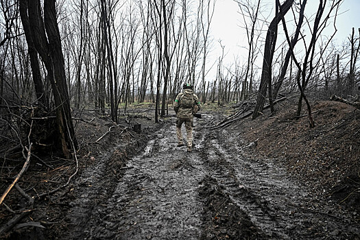 СМИ узнали, на какое ограничение армии согласился Киев