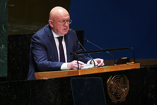 Небензя описал ситуацию на Украине фразой из романа «Двенадцать стульев»