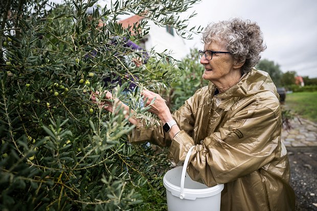 26 ноября: какой праздник отмечают в России и мире