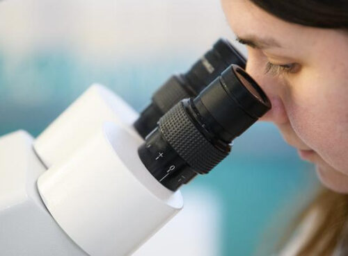 В России обнаружено 60 неизвестных вирусов