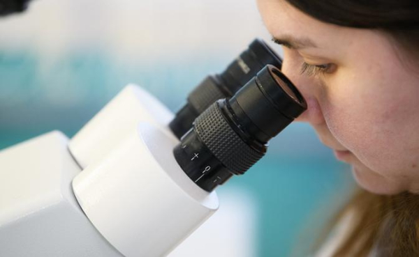 В России обнаружено 60 неизвестных вирусов