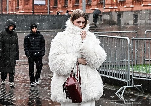 Вильфанд: снегопадов в Москве в ближайшую неделю не будет