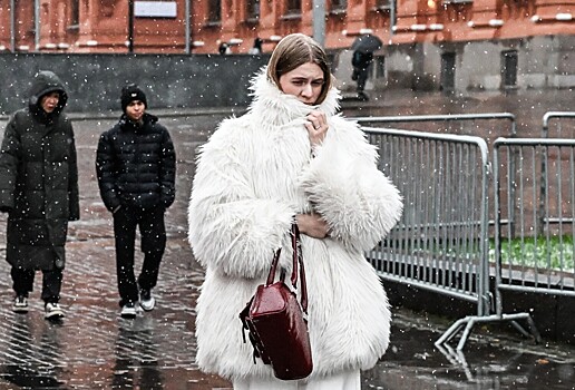 Вильфанд: снегопадов в Москве в ближайшую неделю не будет