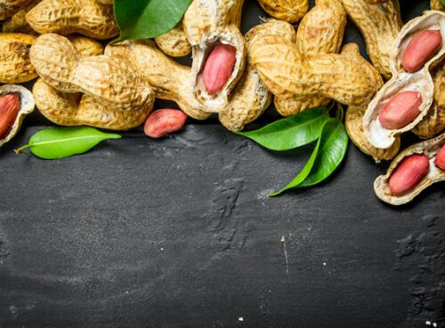 Ученые назвали популярный перекус, усиливающий память Ученые назвали популярный перекус, усиливающий память