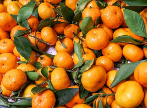 Мандарины назвали самым доступным источником витаминов для россиян