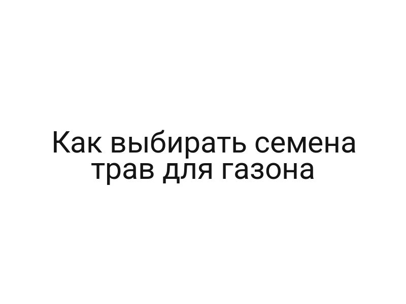 Как выбирать семена трав для газона