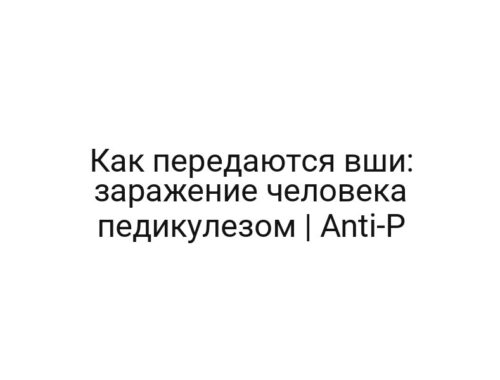 Как передаются вши: заражение человека педикулезом | Anti-P