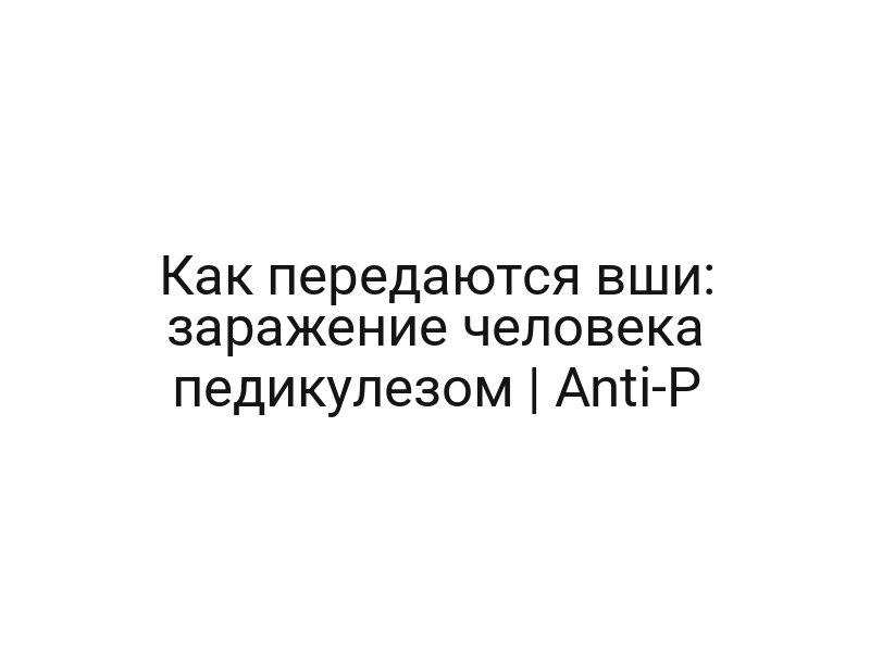 Как передаются вши: заражение человека педикулезом | Anti-P