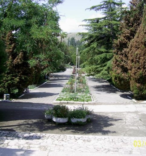 отели коктебель крым цена