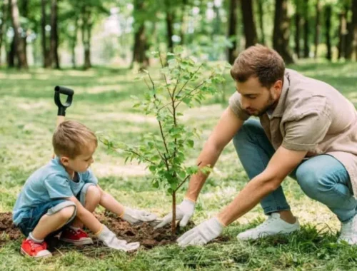 Обрезка плодовых деревьев: как правильно ухаживать за садом и получать богатый урожай