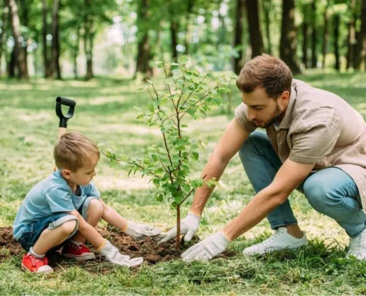 Обрезка плодовых деревьев: как правильно ухаживать за садом и получать богатый урожай