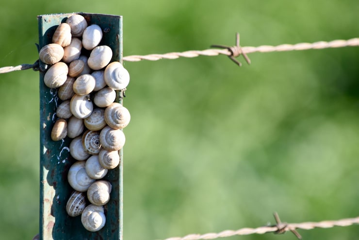 Подбор и подготовка материалов для установки сетки рабицы