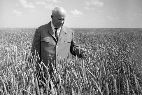 <div></p>
<p>14 августа 1964 года. Первый секретарь ЦК КПСС, Председатель Совета министров СССР Никита Сергеевич Хрущев во время посещения поля целинного зерносовхоза 