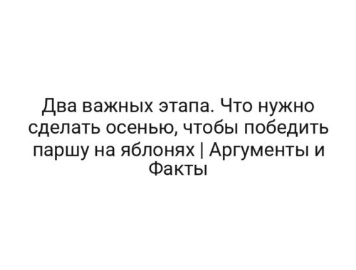 Два важных этапа. Что нужно сделать осенью, чтобы победить паршу на яблонях | Аргументы и Факты